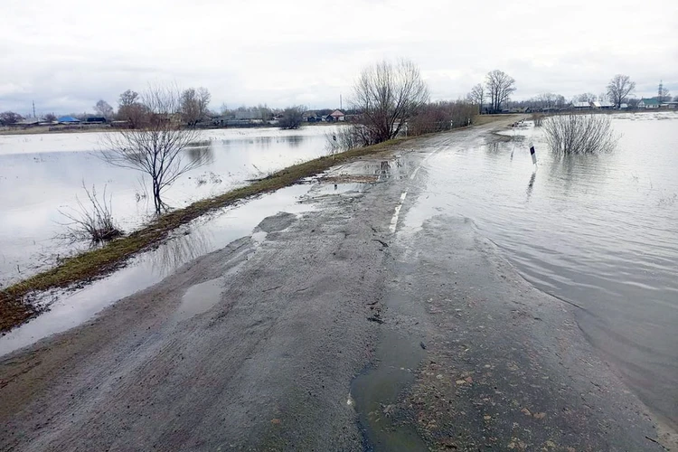 Больше 2 км дорог уже пострадало от паводка на Алтае