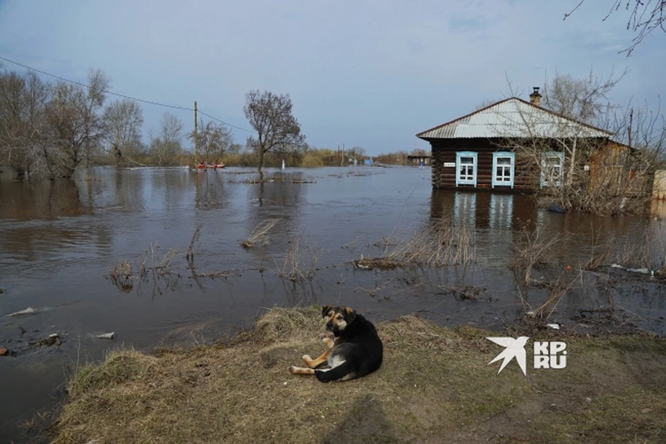 На Среднем Урале ожидается подъем воды в реках
