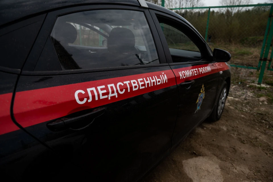 Уголовное дело возбудили после госпитализации 21 белгородского ребенка из лагеря в Петербурге.