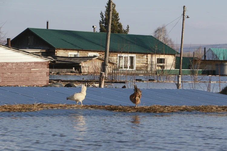 Как 9 лет назад: в Новосибирске к началу лета может затопить дачи возле Новосибирского водохранилища