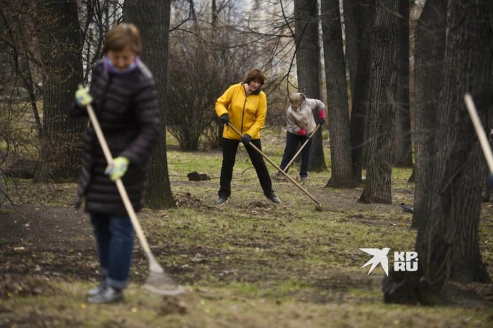 Жителей Среднего Урала призвали выйти на весенние субботники - KP.RU