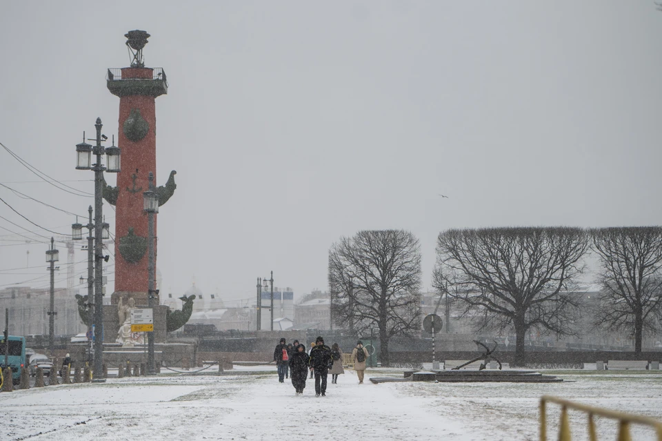 Девять миллиметров снега выпало в Петербурге за день 19 апреля.