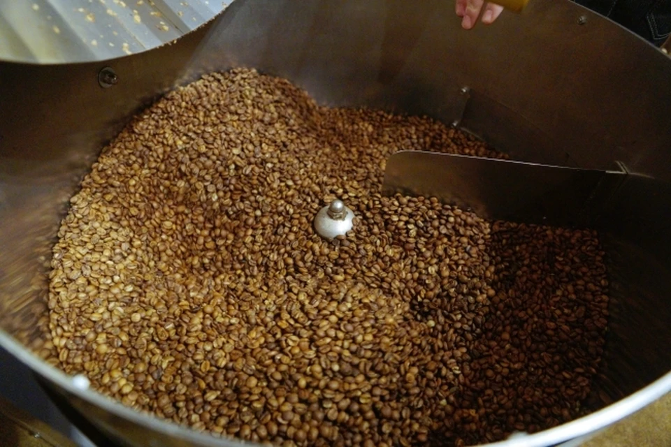 Ученые из Коми испытывают биодобавку для растений из кофе