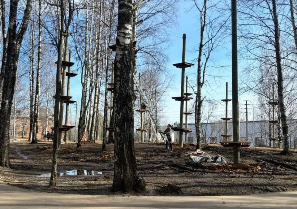 В сквере на Димитрова в Сыктывкаре не намерены срубать деревья