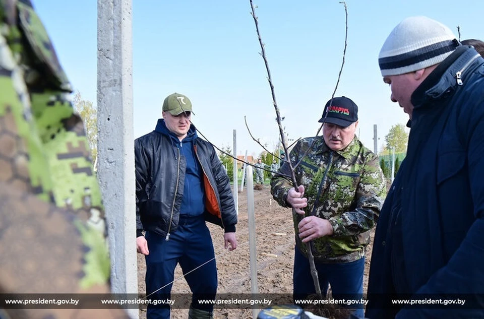 Лукашенко рассказал о своем детстве в деревне. Фото: president.gov.by.