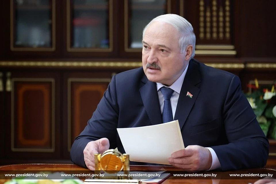 Лукашенко потребовал повсеместно выращивать в Беларуси лес. Фото: president.gov.by.