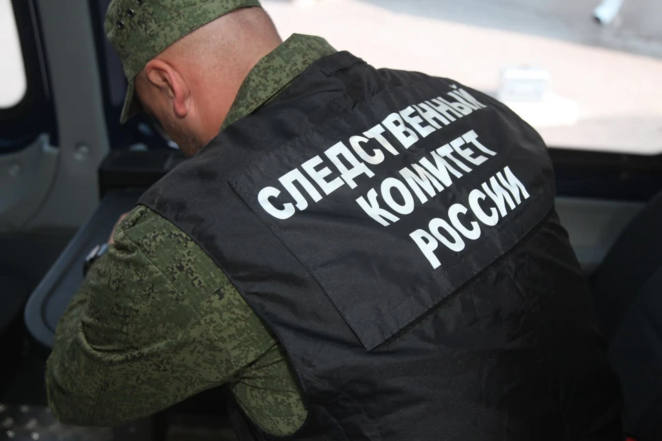 Подозреваемого задержали и заключили под стражу.