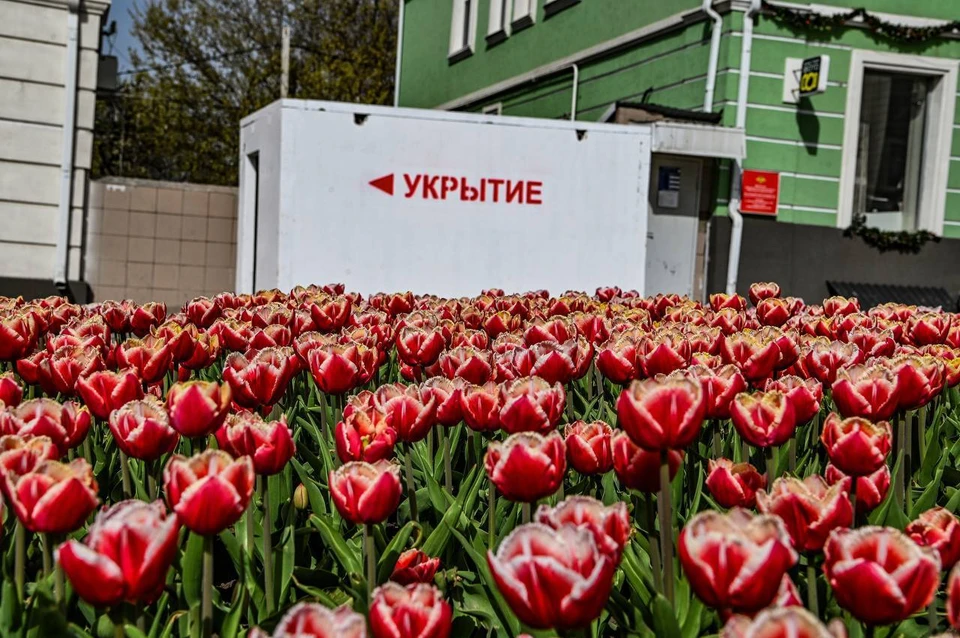 В частном секторе Белгорода установили 45 модульных укрытий.