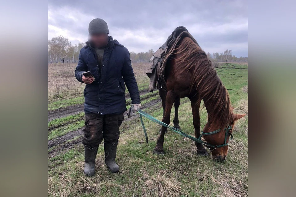 Фото: Поисково-спасательная служба Челябинской области