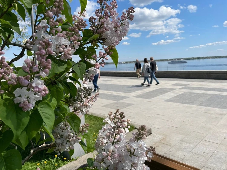 Куда сходить на майские праздники 2024 в Волгограде: программа и расписание мероприятий с 28 апреля по 1 мая