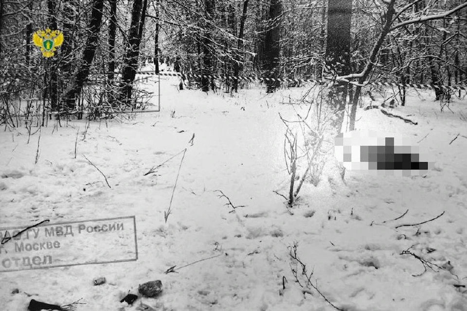 Преступник избил и задушил женщину в новогоднюю ночь 12 лет назад