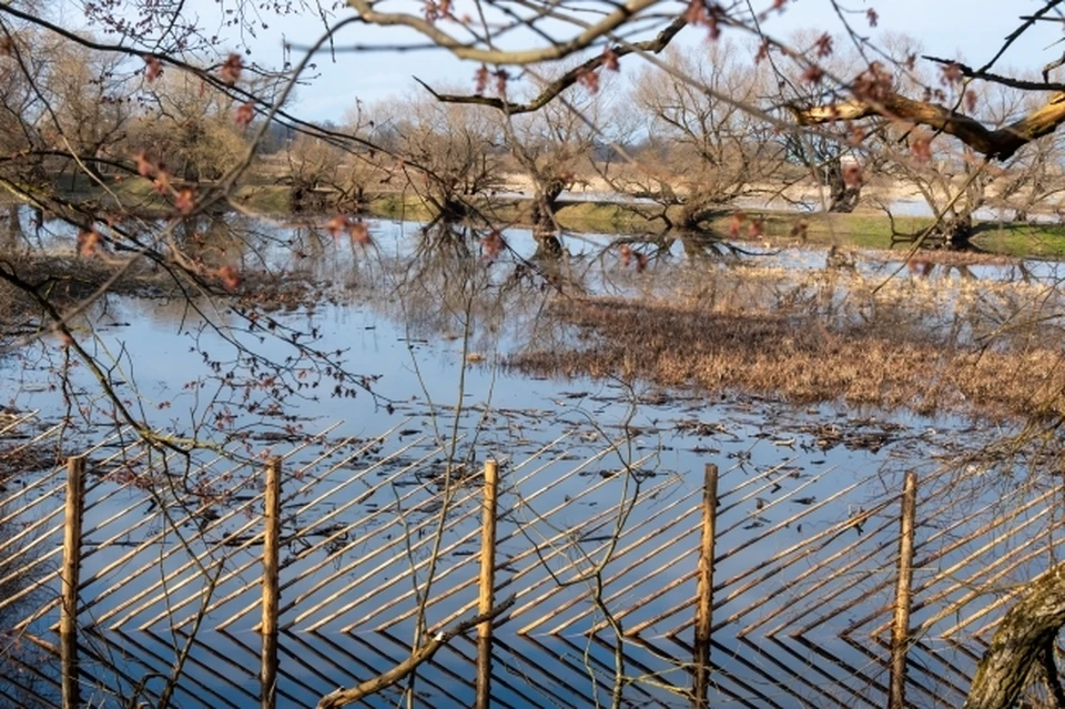 На реке Вашка в Коми уровень воды превысил неблагоприятную отметку.