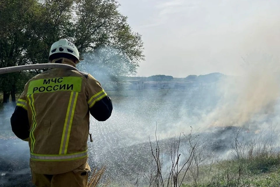 53,35 гектаров сухой травы, кустарника и камыша уничтожил огонь на минувших выходных в ЛНР. Фото - МЧС ЛНР