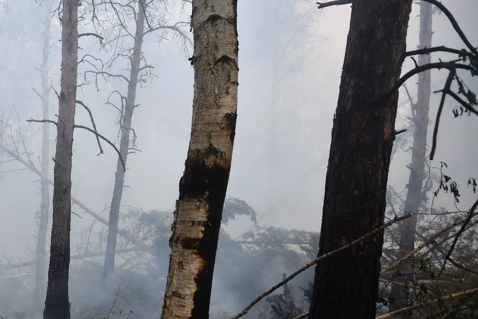 В НСО произошло более 500 пожаров менее чем за две недели