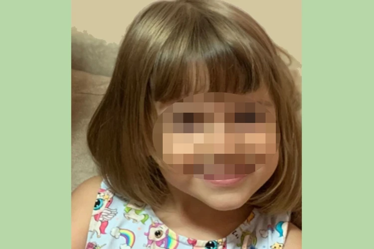 Унесли на глазах у матери: похищенную в Краснодаре 5-летнюю девочку нашли в Сибири, за тысячи километров от дома