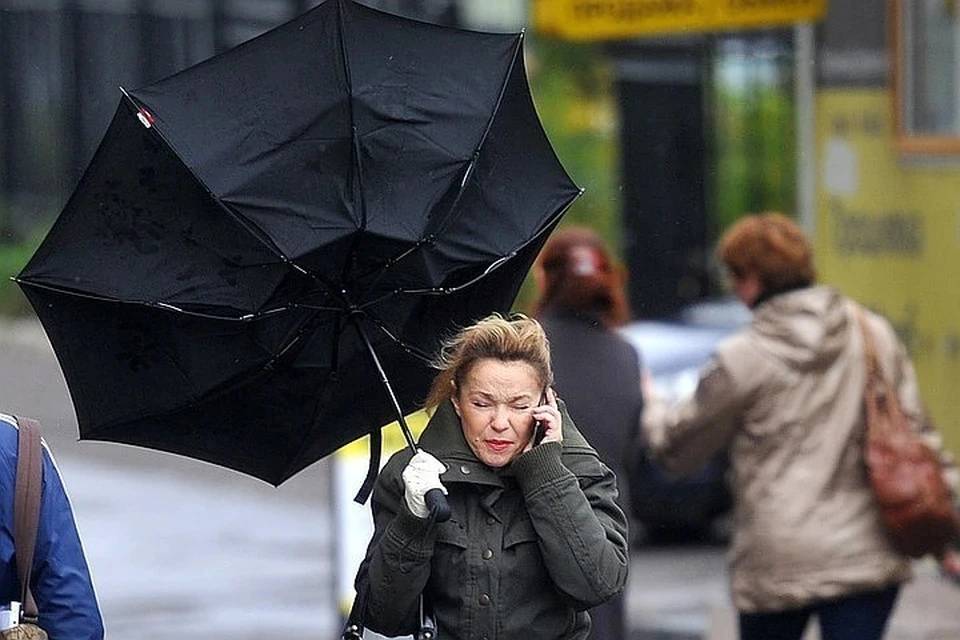 МЧС предупредило о сильном ветре в Москве до конца дня