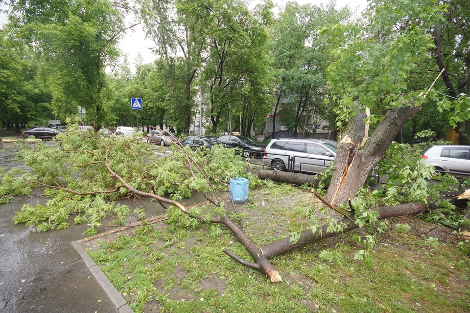 Последствия ураганов в Екатеринбурге устраняли 1,7 тысячи дорожных рабочих