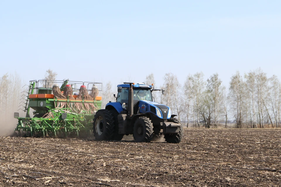 Урожай на 5% от посевной площади погиб от заморозков в Липецкой области