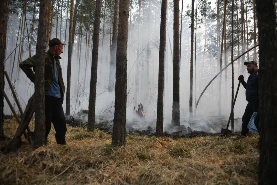 13 мая в регионе зарегистрировано шесть лесных пожаров.