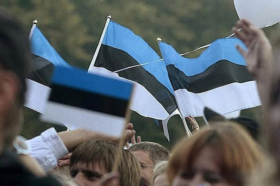 В Эстонии во время учений НАТО упал беспилотник и вызвал ландшафтный пожар