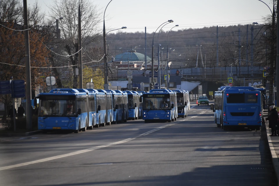 В июне в Ульяновске вновь пустят автобус до пляжа