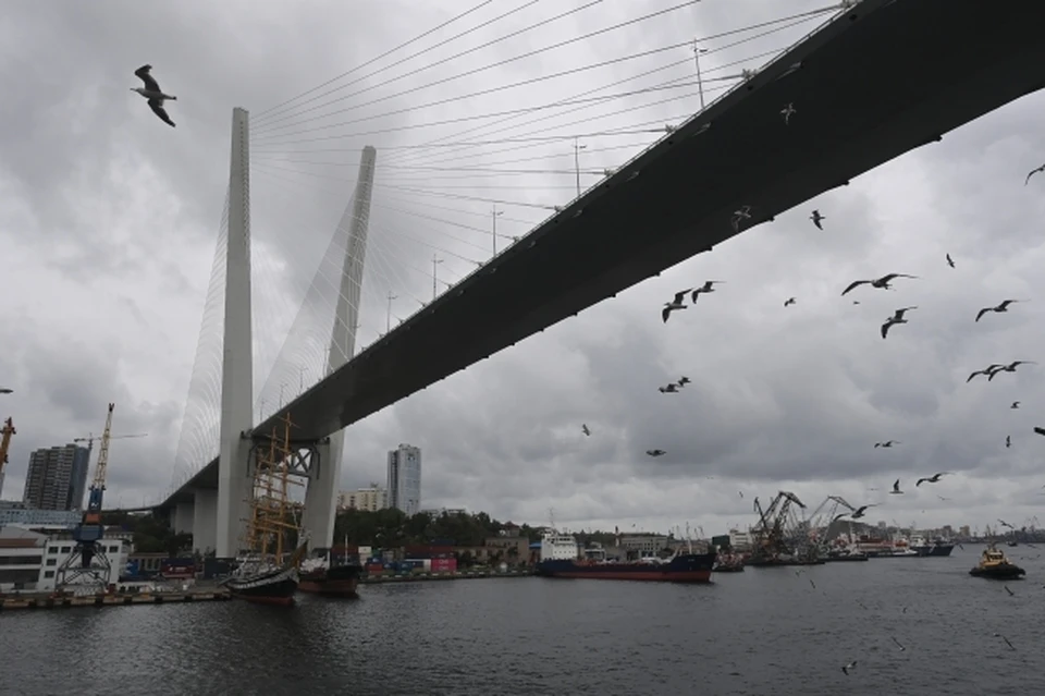 По традиции участники побегут по Университетскому проспекту и Русскому мосту.