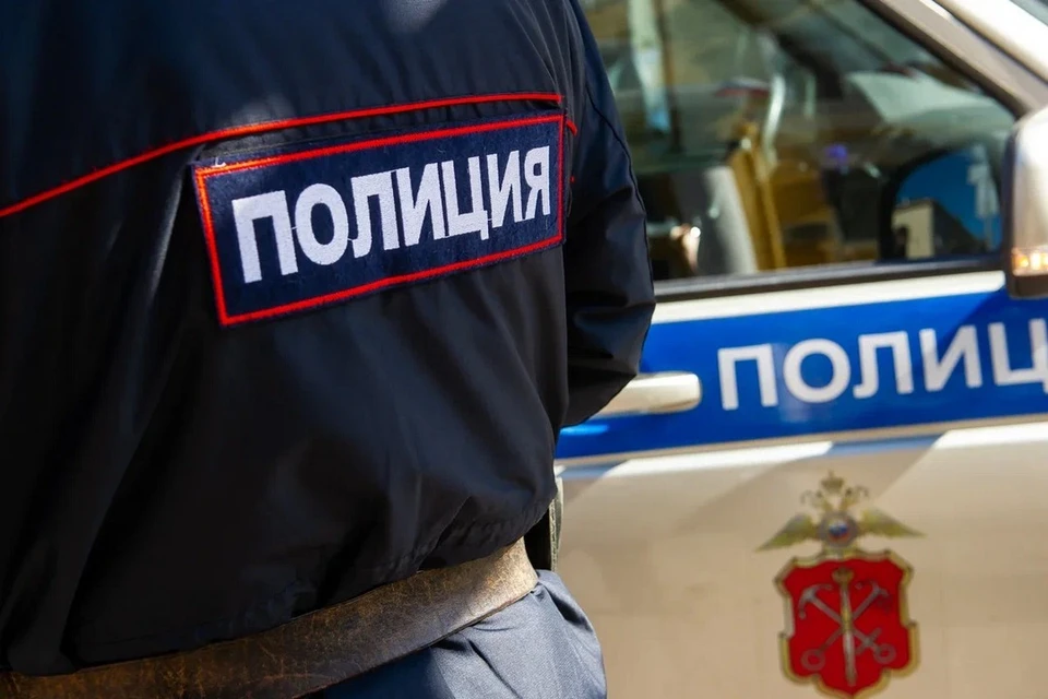 Женщину, укусившую полицейского за предплечье в Петербурге, оштрафовали на 25 тысяч рублей.