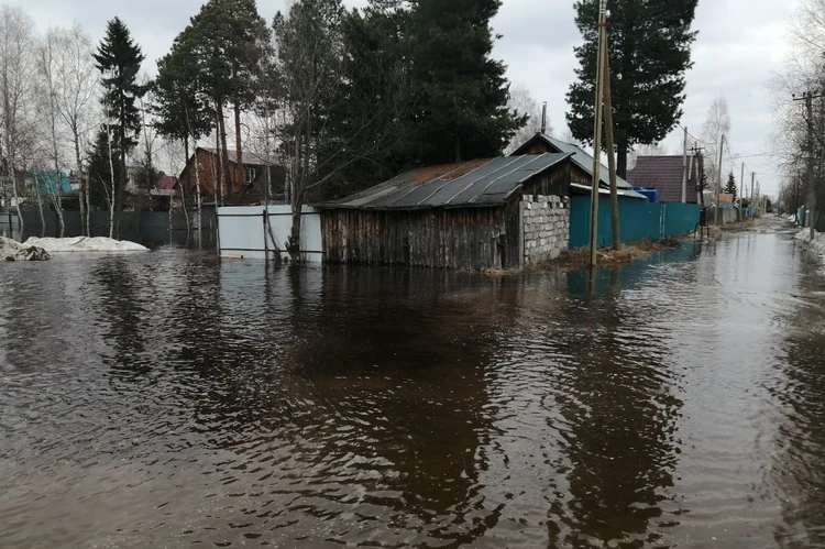 Паводок в Югре 2024: Река Черная затопила дачные участки СНТ «Газовик» в Сургуте