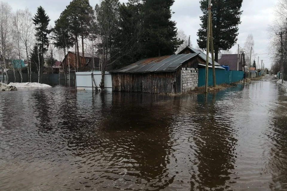 Фото: телеграм-канал администрации Сургута