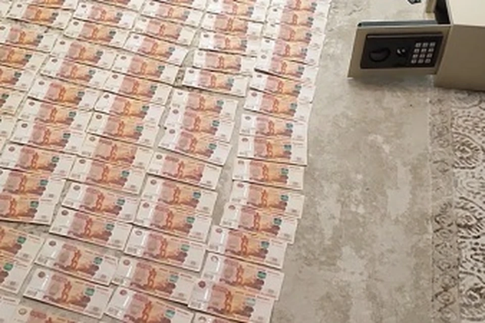 Фото: Пресс-служба МВД РФ по Республике Мордовия