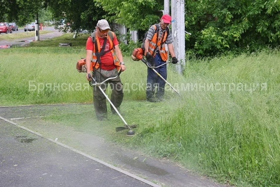 Фото: пресс-служба Брянской городской администрации.