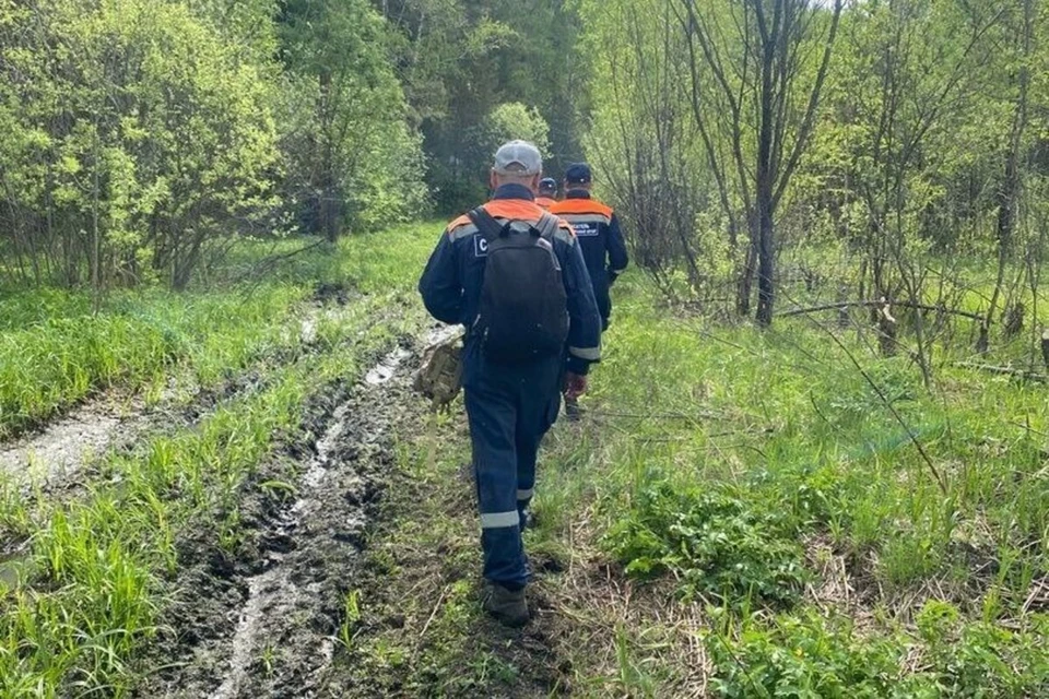 Фото: Служба спасения Красноярского края