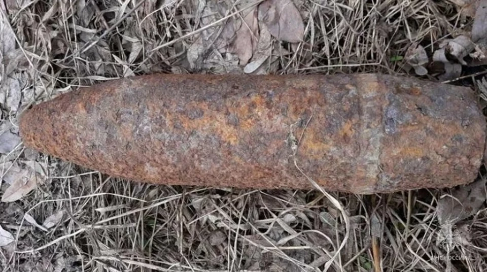 Три опасных боеприпаса обезвредили в Смоленской области Фото: ГУ МЧС России по Смоленской области