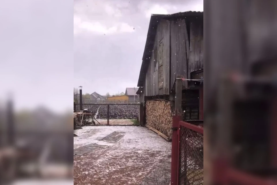 Скрин видео Василия Зотова
