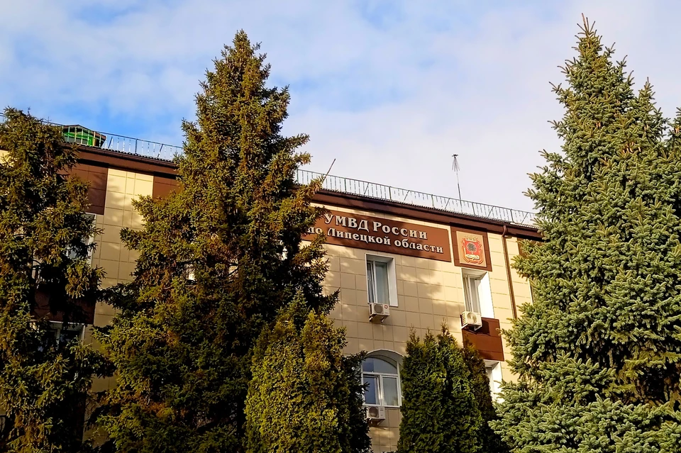Полицейские нашли подростков, которые нападали на жителей Липецка
