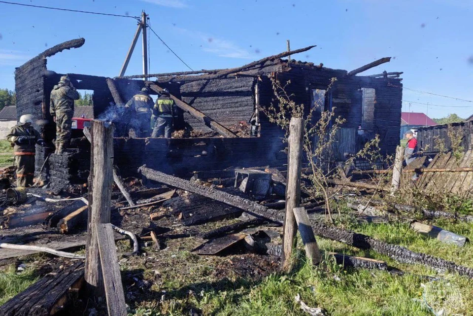 Семья с двухлетним ребенком погибла на пожаре в Нижегородской области