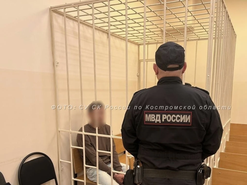 Фото: пресс-служба СУ СК России по Костромской области