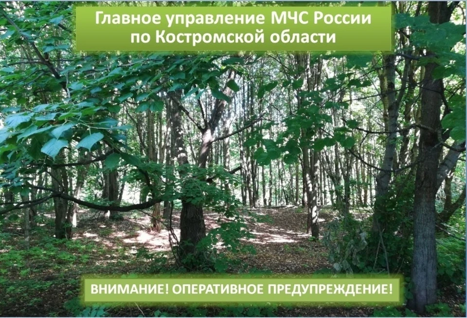 Фото: пресс-служба ГУ МЧС России по Костромской области