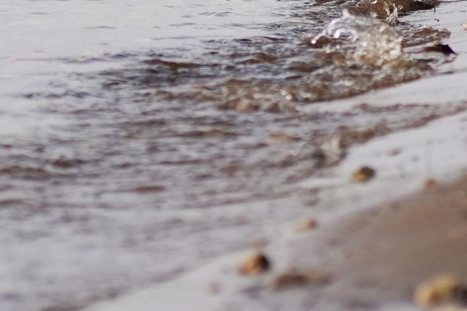 Вода в заливе отошла на десятки метров от берега