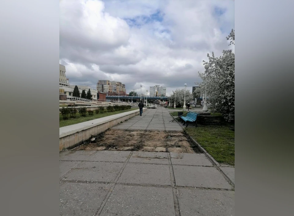 Фото: телеграмм-канал Сергея Шелеста