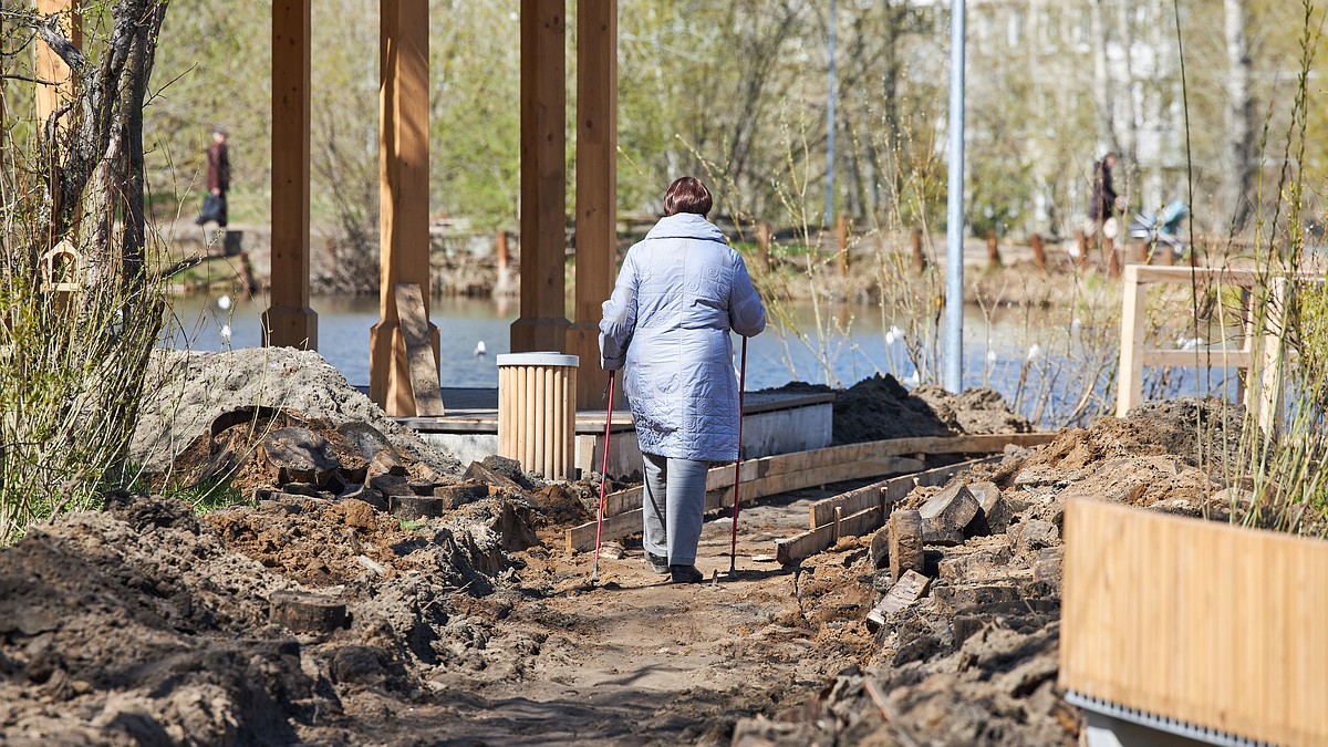 Душа болит за Черняевский лес»: что происходит в Балатовском парке, где  никак не могут закончить благоустройство - KP.RU