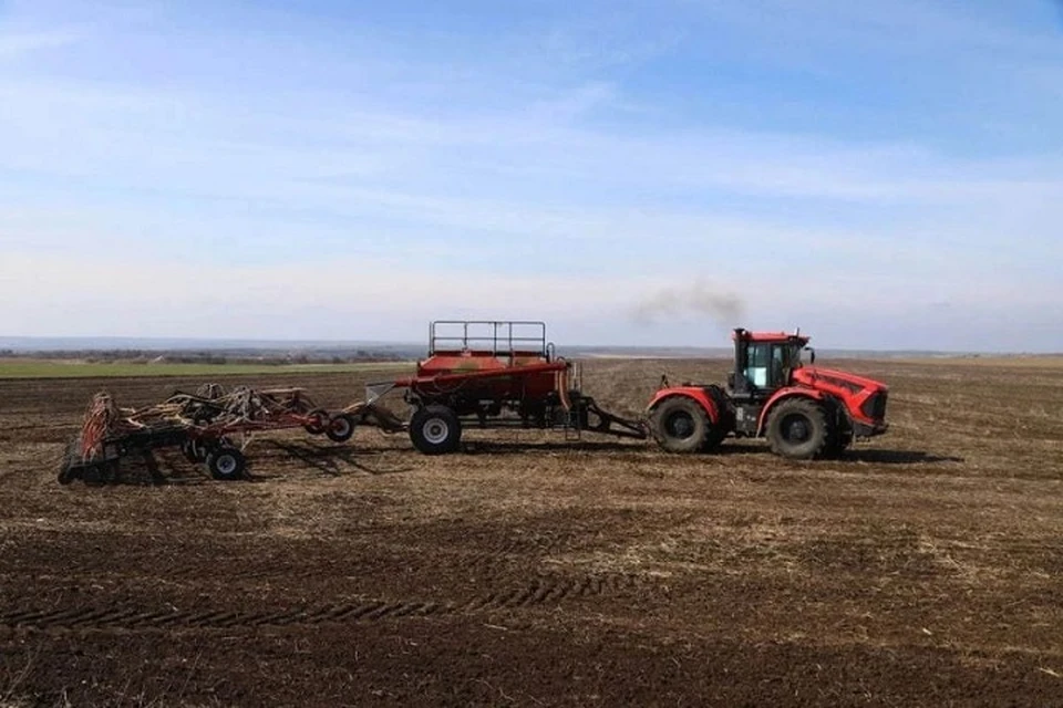 В ДНР ожидают снижения урожайности из-за погодных условий