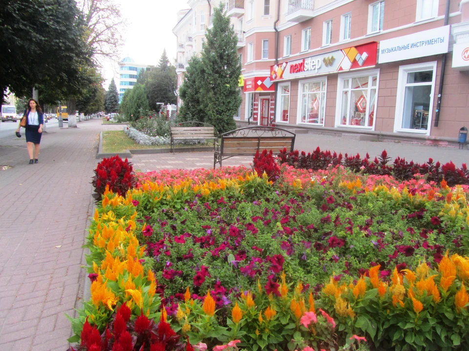 Цветы исчезли с улиц Ленина и Сонина