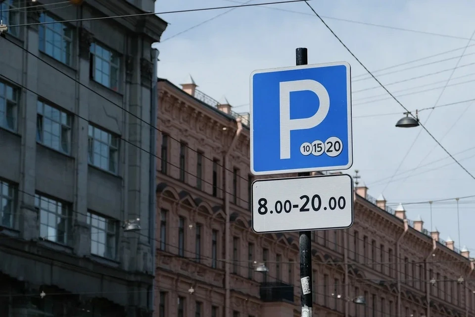Многодетным могут предоставить льготный тариф для аренды паркинга в Петербурге.