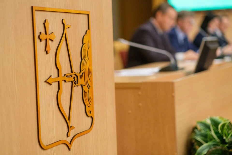 Отчет об исполнении областного бюджета представили на заседании Заксобрания. Фото: zsko.ru