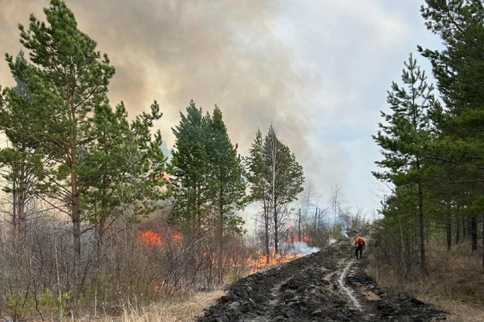 Три лесных пожара потушили 30 мая в Иркутской области.