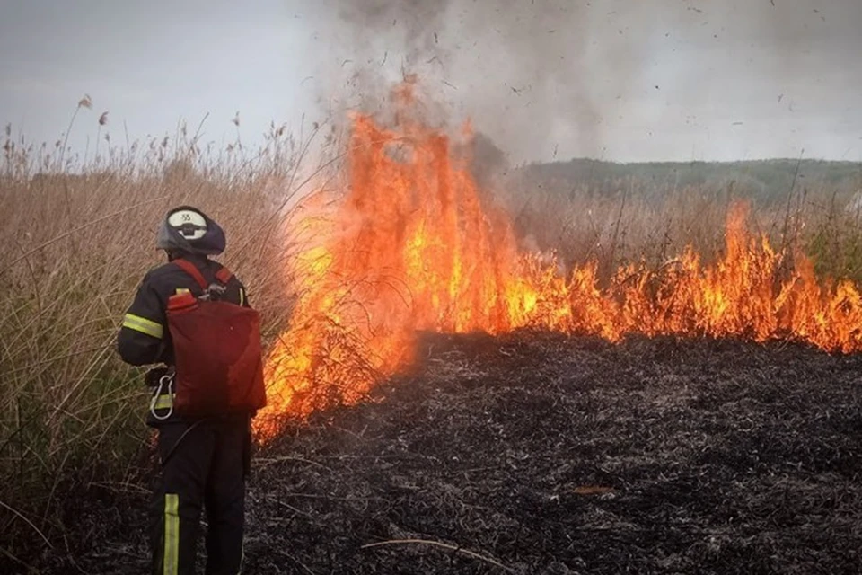 В ЛНР 30 мая спасатели 14 раз выезжали тушить природные пожары, которые уничтожили в общей сумме 25,1 гектаров территории. Фото - МЧС ЛНР