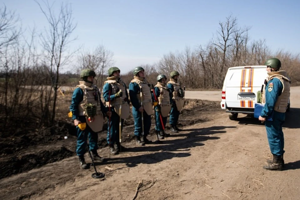 50 единиц боеприпасов обнаружили саперы МЧС на 55 гектарах обследованной с 24 по 31 мая территории. Фото - МЧС ЛНР