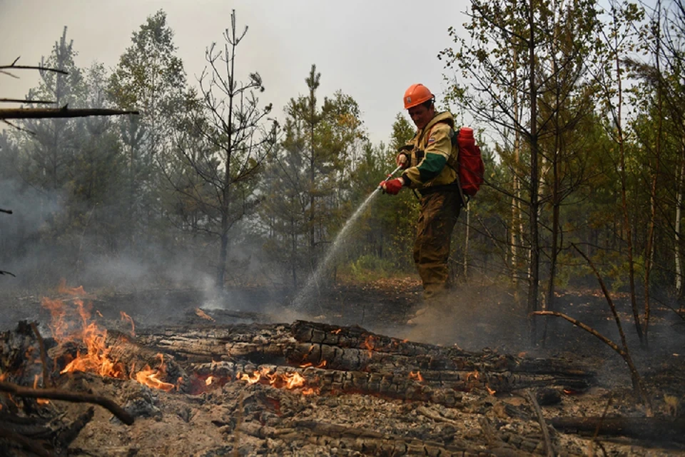 Огонь тушат 332 человека, 14 единиц лесопожарной техники