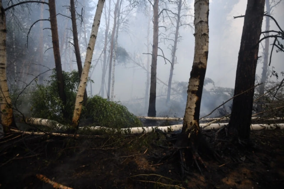 Лесной пожар подобрался к железной дороге в Бурятии.